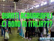 Quanti acquariofili ci sono in Italia? Diamo i numeri