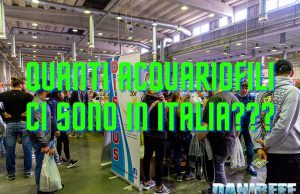 Quanti acquariofili ci sono in Italia? Diamo i numeri