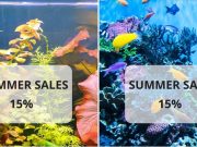 Proseguono gli sconti estivi per Daphbio: 15% fino al primo agosto