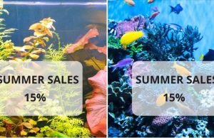 Proseguono gli sconti estivi per Daphbio: 15% fino al primo agosto