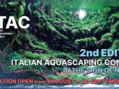 ITAC 2023: Al via la 2a edizione di italian Aquascaping Contest