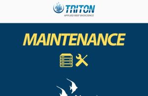 Triton cambia server, il sito sarà “down” ma i dati saranno salvi
