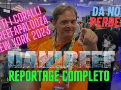 ReefAPalooza 2023 a New York: ci siamo stati e ve lo raccontiamo