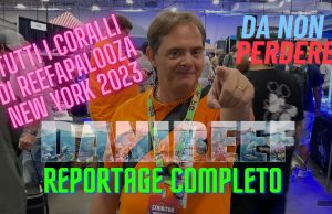 ReefAPalooza 2023 a New York: ci siamo stati e ve lo raccontiamo