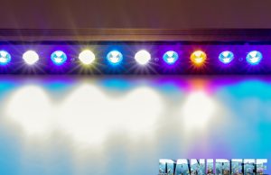 Orphek OR3 Reef Day Plus Led Bars in our DaniReef Lab – review