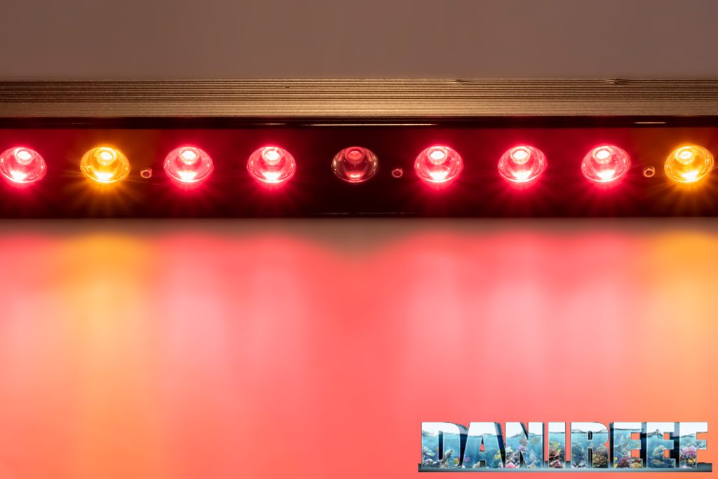 Le nuove barre a LED Orphek OR3 Red Plus Grow/Refugium nel DaniReef LAB - colorazione calda