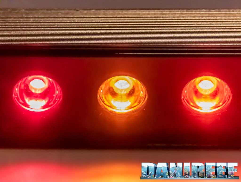 Le nuove barre a LED Orphek OR3 Red Plus Grow/Refugium nel DaniReef LAB - colorazione calda