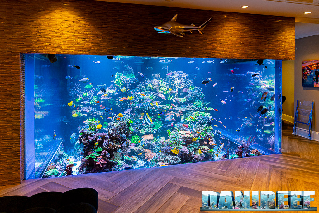 Tecnologia negli acquari marini