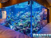 Polo Reef: we visited the world’s most beautiful marine aquarium