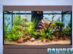 Nuovo acquario Askoll Opera presentato in un evento dedicato