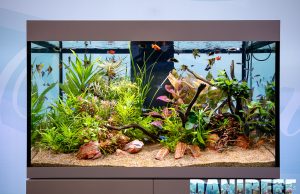 Nuovo acquario Askoll Opera presentato in un evento dedicato