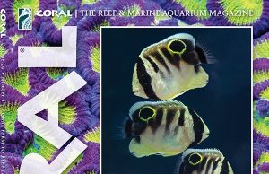 Coral Magazine, le farm di coralli europee e Recifathome
