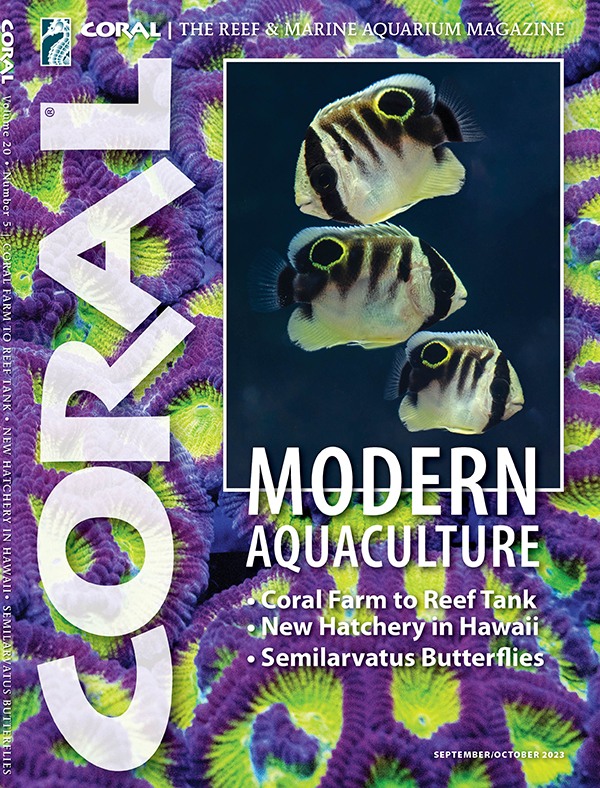 Coral Magazine, le farm di coralli europee e Recifathome