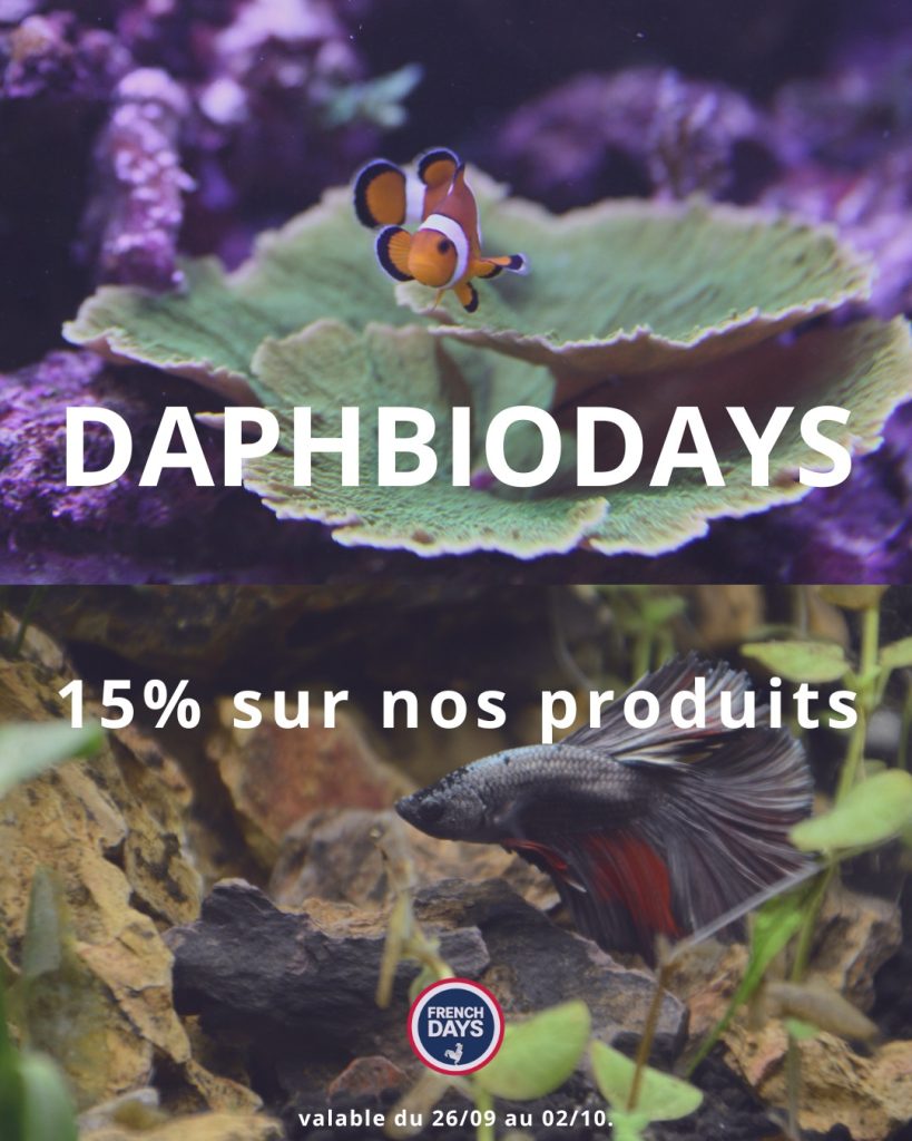 Daphbiodays sconto su Daphbio del 15% fino al 2 ottobre