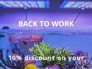 Daphbio presenta gli sconti Back to Work: 10% fino al 10 settembre