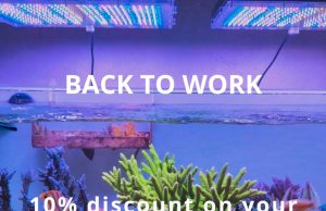 Daphbio presenta gli sconti Back to Work: 10% fino al 10 settembre