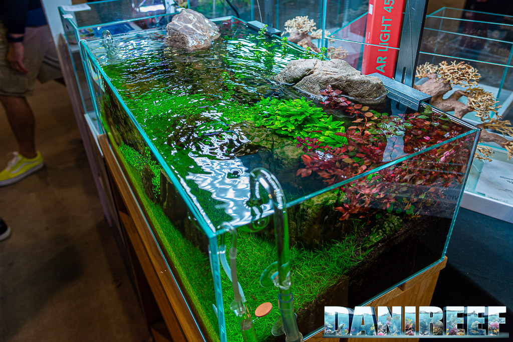 Acquario che perde
