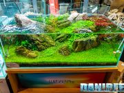 AgriPetGarden con magnifici Aquascaping a PetsFestival 2023