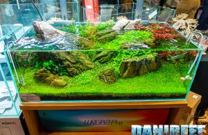 AgriPetGarden con magnifici Aquascaping a PetsFestival 2023
