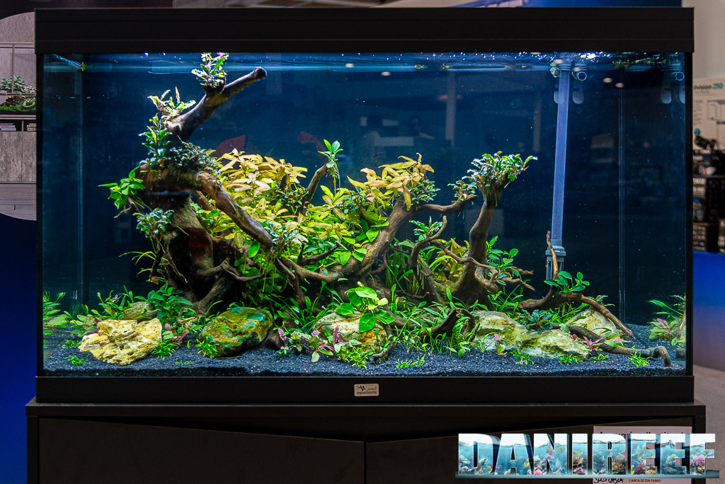 Acquario allestito dall'Arca di Zin presso lo stand Sicce al PetsFestival 2023