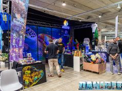 A.R.T.O. si racconta al PetsFestival 2023: intervista a Luca Corcetti