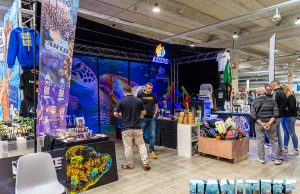 A.R.T.O. si racconta al PetsFestival 2023: intervista a Luca Corcetti