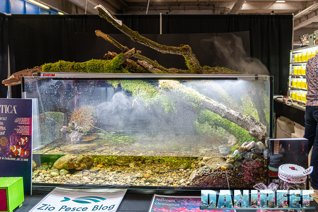 L'Acquario biotopo creato da Zio Pesce al PetsFestival 2023