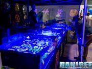 Recifathome al Petsfestival con magnifici coralli da Aquacoltura