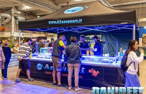 Lo spettacolo dei coralli presso H2O Acquari al PetsFestival 2023