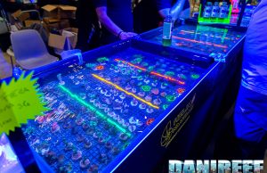 Coralli in mostra da Geomarine ed Helix Nautilus al PetsFestival 2023