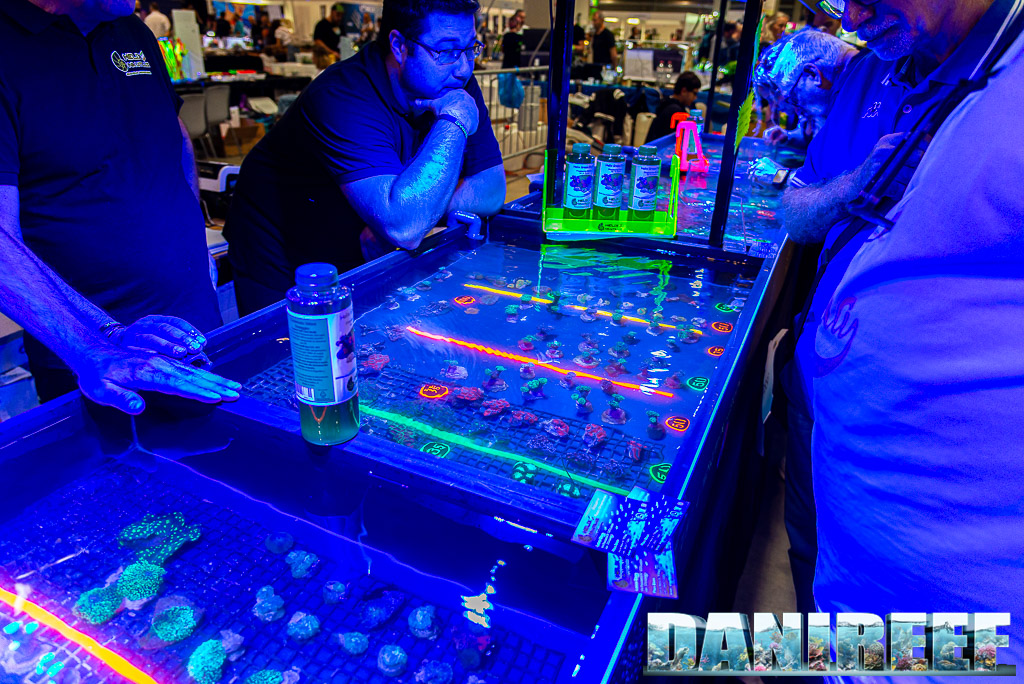 Lo stand Helix al PetsFestival 2023