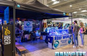 L’associazione Reef World stupisce tutti al PetsFestival 2023