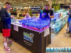 Franky’s Frags è una nuova realtà italiana per la vendita di coralli