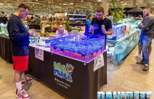 Franky’s Frags è una nuova realtà italiana per la vendita di coralli