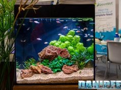 Acquario dolce o marino? Guida alla scelta per principianti – vol.1