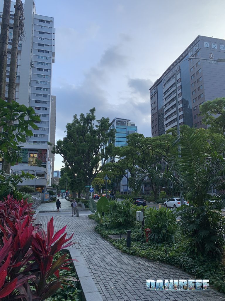 Foto di Singapore e della sua vegetazione