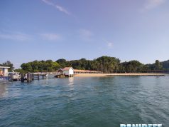 Abbiamo visitato Isola Saint John a Singapore dove salvano i coralli