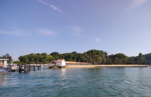 Abbiamo visitato Isola Saint John a Singapore dove salvano i coralli