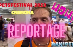 PetsFestival 2023 fra coralli ed aquascaping: editoriale con video