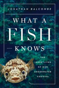 Jonathan Balcombe, autore del libro What a Fish Knows