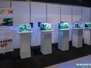 Votate il vostro prodotto per l’acquario favorito del 2023