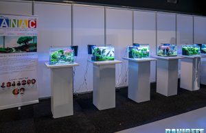 Votate il vostro prodotto per l’acquario favorito del 2023