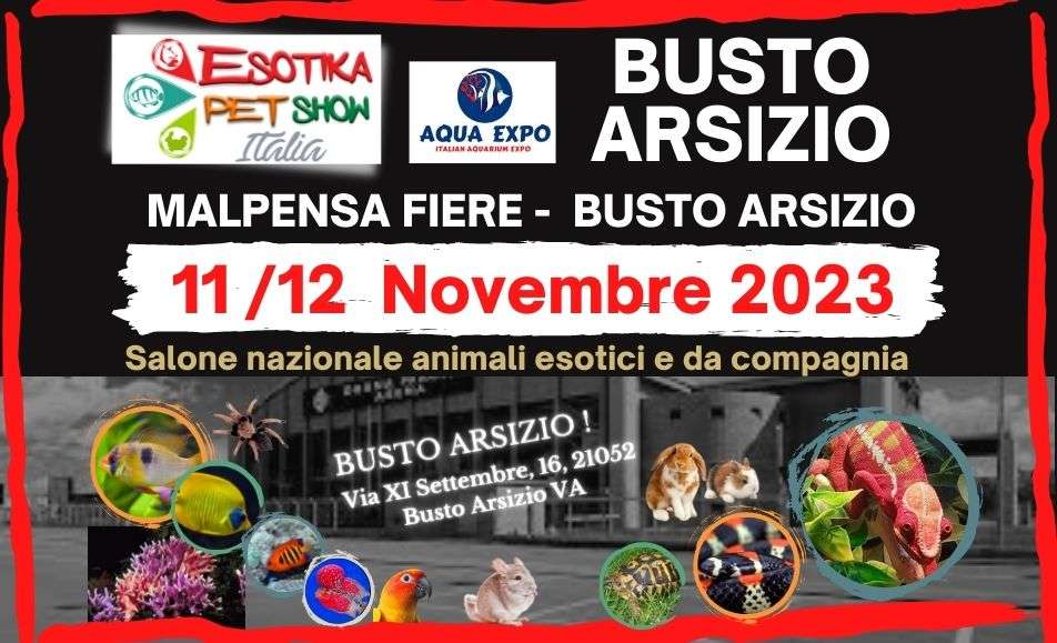 Esotika Pet Show questo fine settimana a Malpensa fiere