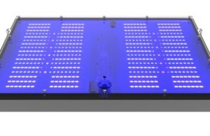 GNC cresce e sbarca in USA con GNC BLURAY INC