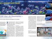 L’acquario marino da 1500 litri di Alexander Silvioni su Koralle 144