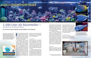 L’acquario marino da 1500 litri di Alexander Silvioni su Koralle 144