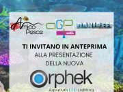 Catania, 2 dicembre, DaniReef e AGP presentano la nuova Orphek