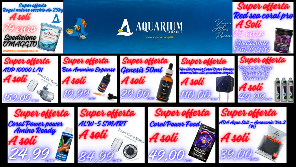 Offerte Aquarium Angri Black Friday 2023