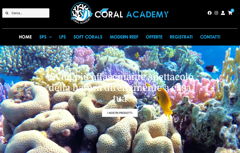 Offerte Coral Academy Black Friday 2023