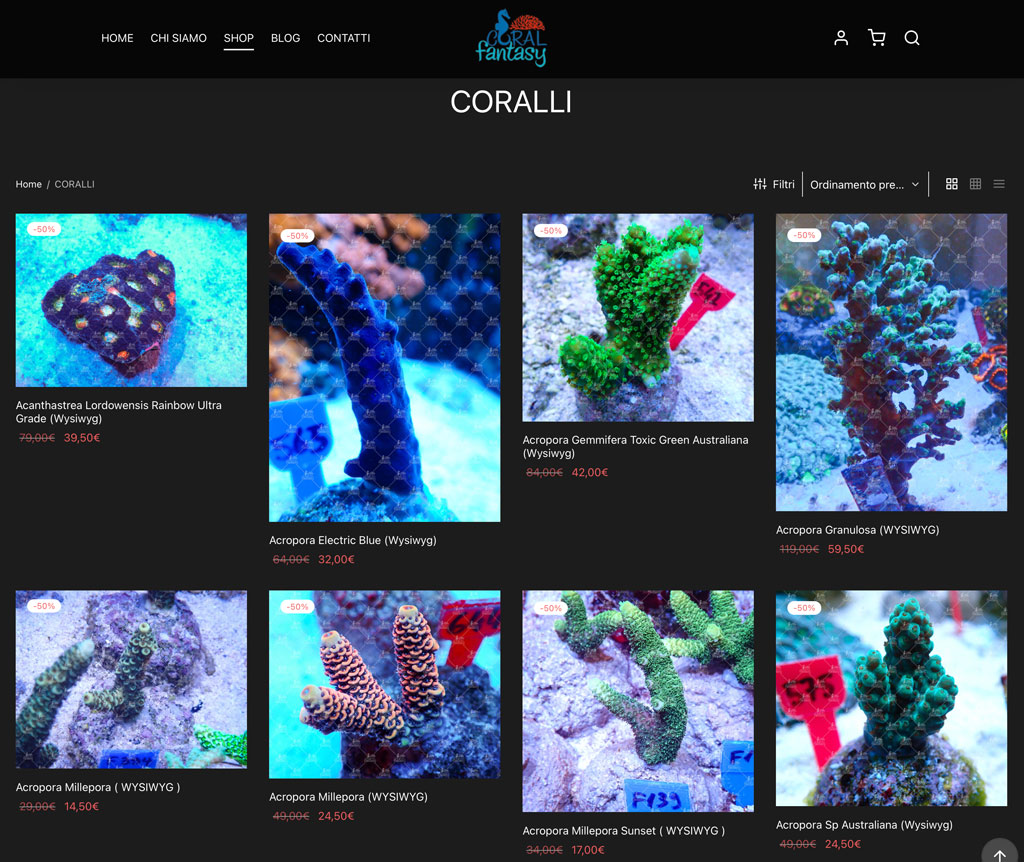 Offerte Coral Fantasy Black Friday 2023